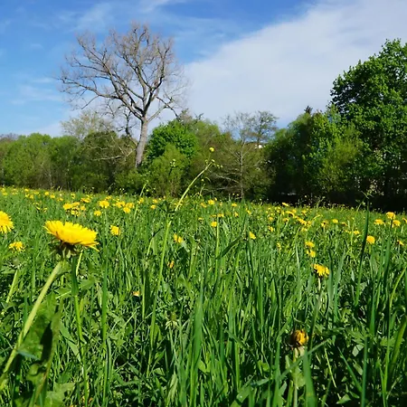 Διαμέρισμα Am Eschachwaeldle Niedereschach