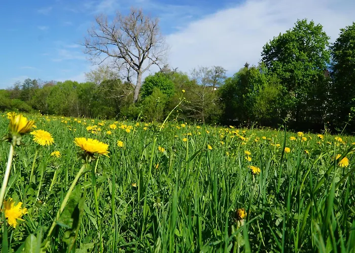 Apartamento Am Eschachwaeldle Niedereschach